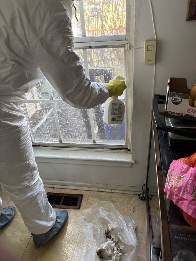 Certified inspector in full protective Tyvek suit performing mold remediation treatment